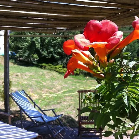 Lo Spigo