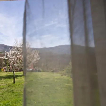 Bed & Breakfast Lo Spigo